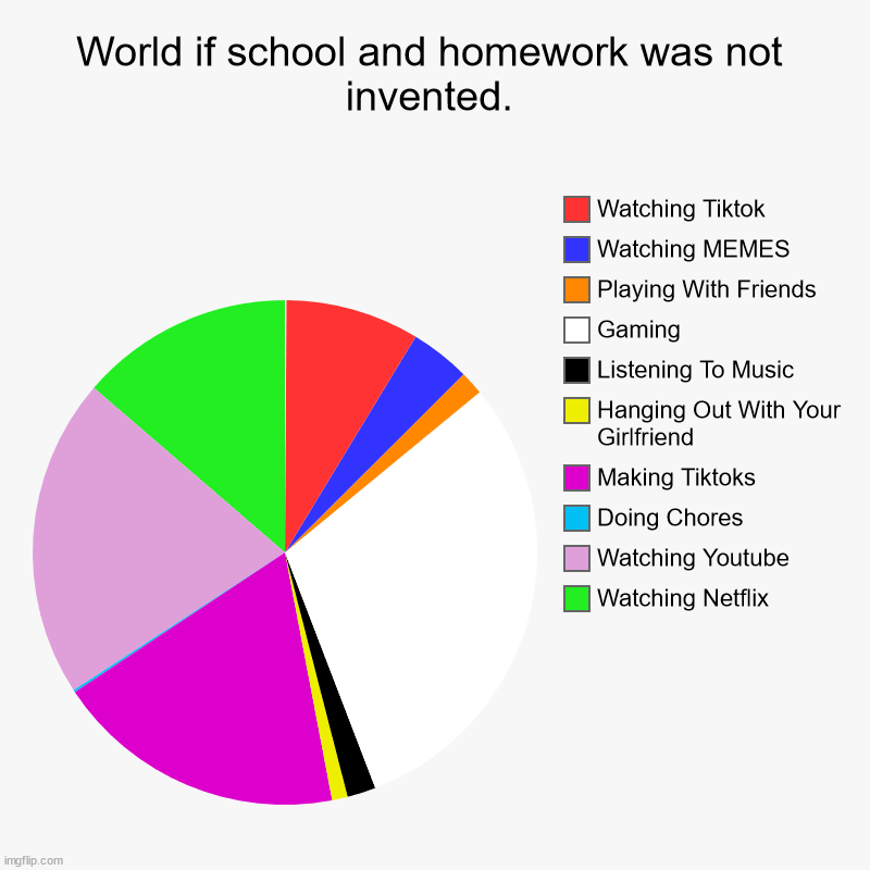 World If School And Homework Was Not Invented | World if school and homework was not invented. | Watching Netflix, Watching Youtube, Doing Chores, Making Tiktoks, Hanging Out With Your Gir | image tagged in charts,pie charts,school,homework | made w/ Imgflip chart maker