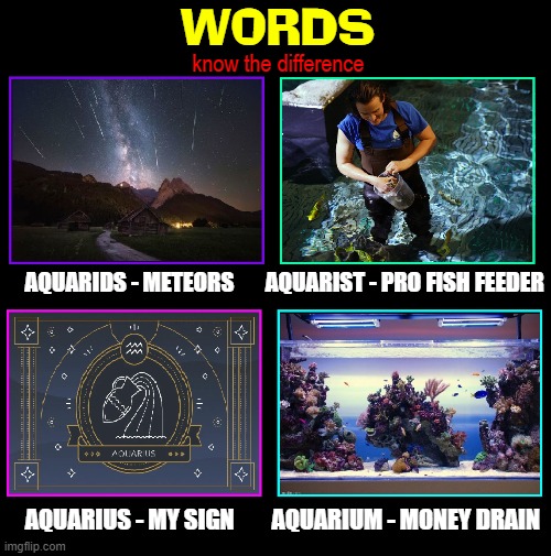 It could save your Life! | WORDS; know the difference; AQUARIDS - METEORS       AQUARIST - PRO FISH FEEDER; AQUARIUS - MY SIGN        AQUARIUM - MONEY DRAIN | image tagged in vince vance,meteor,shower,zodiac signs,aquarium,fish | made w/ Imgflip meme maker