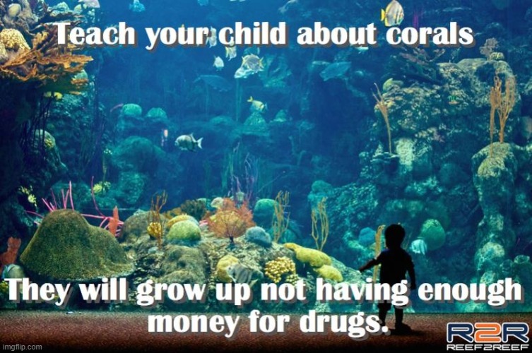 ...and Twice as Addictive | image tagged in vince vance,coral,reef,aquarium,fish,memes | made w/ Imgflip meme maker