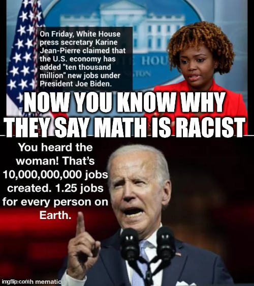 Libs did say math is racist... | NOW YOU KNOW WHY THEY SAY MATH IS RACIST | image tagged in stupid liberals | made w/ Imgflip meme maker