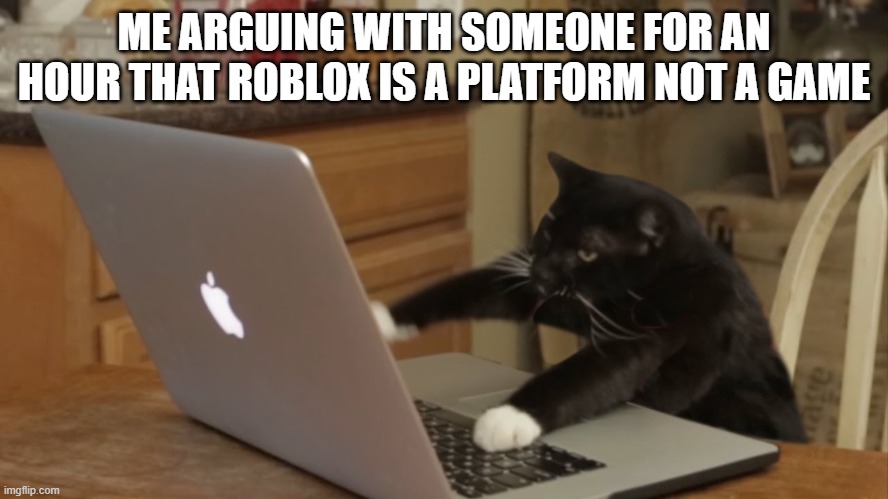 Furiously Typing Cat | ME ARGUING WITH SOMEONE FOR AN HOUR THAT ROBLOX IS A PLATFORM NOT A GAME | image tagged in furiously typing cat | made w/ Imgflip meme maker