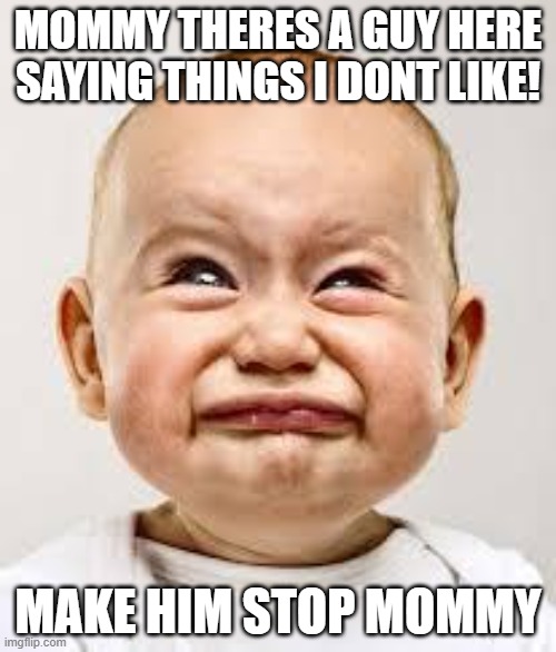 Librons | MOMMY THERES A GUY HERE SAYING THINGS I DONT LIKE! MAKE HIM STOP MOMMY | image tagged in crying baby | made w/ Imgflip meme maker