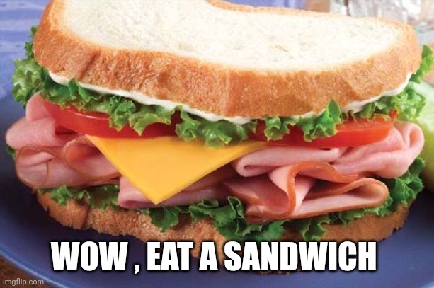 Sandwich | WOW , EAT A SANDWICH | image tagged in sandwich | made w/ Imgflip meme maker