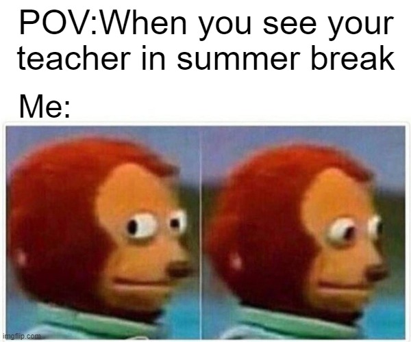 Monkey Puppet Meme | POV:When you see your teacher in summer break; Me: | image tagged in memes,monkey puppet | made w/ Imgflip meme maker
