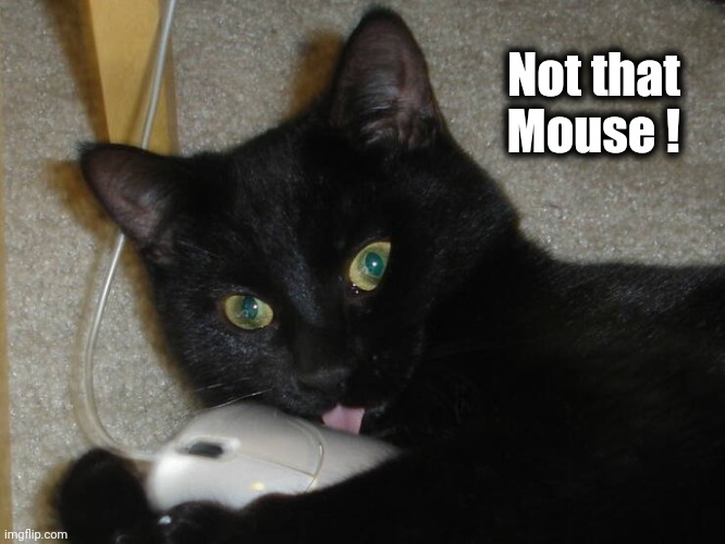 Not that    
Mouse ! | made w/ Imgflip meme maker