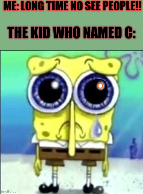 Sad Spongebob | ME: LONG TIME NO SEE PEOPLE!! THE KID WHO NAMED C: | image tagged in sad spongebob | made w/ Imgflip meme maker