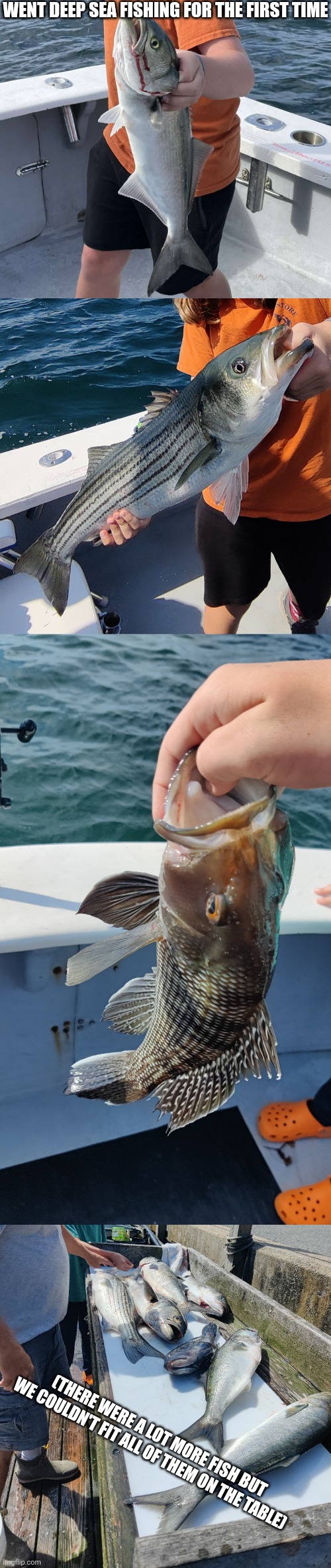 Screw you if you're vegan or vegetarian | WENT DEEP SEA FISHING FOR THE FIRST TIME; (THERE WERE A LOT MORE FISH BUT WE COULDN'T FIT ALL OF THEM ON THE TABLE) | made w/ Imgflip meme maker