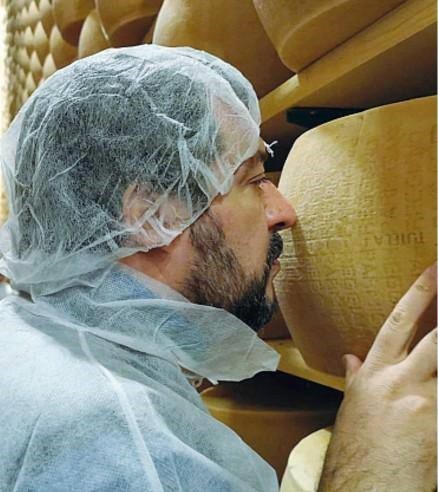 High Quality salvini annusa formaggio Blank Meme Template