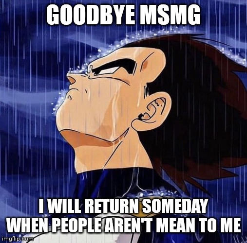 Vegeta in the rain | GOODBYE MSMG; I WILL RETURN SOMEDAY WHEN PEOPLE AREN'T MEAN TO ME | image tagged in vegeta in the rain | made w/ Imgflip meme maker