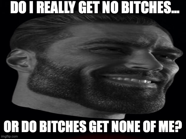 do I really? | DO I REALLY GET NO BITCHES... OR DO BITCHES GET NONE OF ME? | image tagged in giga chad,no bitches | made w/ Imgflip meme maker