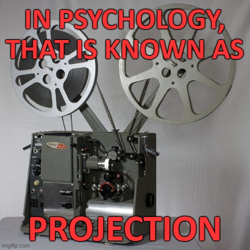 IN PSYCHOLOGY, THAT IS KNOWN AS PROJECTION | made w/ Imgflip meme maker