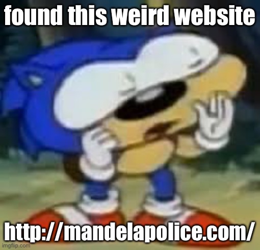 sonic huh? | found this weird website; http://mandelapolice.com/ | image tagged in sonic huh | made w/ Imgflip meme maker