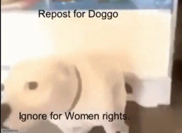 I am doggo | made w/ Imgflip meme maker
