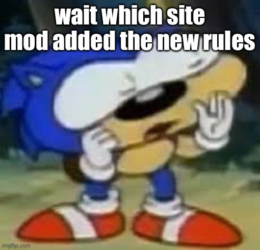 sonic huh? | wait which site mod added the new rules | image tagged in sonic huh | made w/ Imgflip meme maker