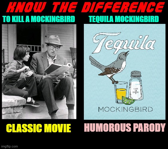 A Shot of José  —no training wheels | KNOW THE DIFFERENCE; TO KILL A MOCKINGBIRD          TEQUILA MOCKINGBIRD; HUMOROUS PARODY; CLASSIC MOVIE | image tagged in vince vance,tequila,memes,to kill a mockingbird,harper lee,novel | made w/ Imgflip meme maker