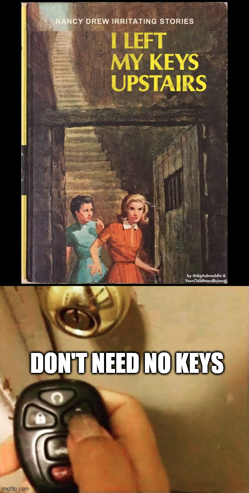 DON'T NEED NO KEYS | image tagged in key fob home door,fake | made w/ Imgflip meme maker