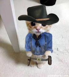 kitten Arthur Morgan Blank Meme Template