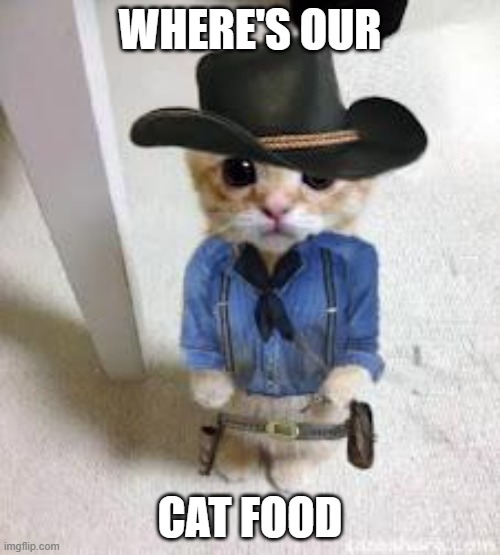 kitten Arthur Morgan | WHERE'S OUR; CAT FOOD | image tagged in kitten arthur morgan | made w/ Imgflip meme maker