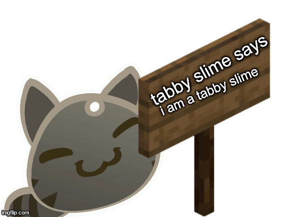 Tabby Slime Says | i am a tabby slime | image tagged in tabby slime says | made w/ Imgflip meme maker