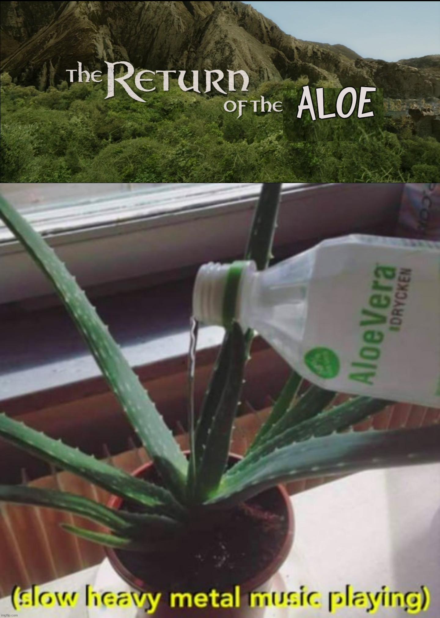 ALOE | image tagged in return of the king | made w/ Imgflip meme maker