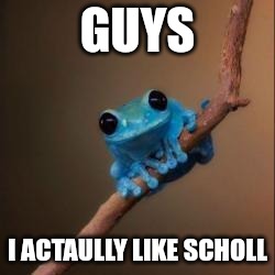 I did hide watermark | GUYS; I ACTAULLY LIKE SCHOLL | image tagged in fun fact frog | made w/ Imgflip meme maker