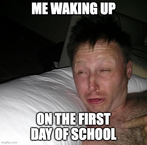 5 more minutes | ME WAKING UP; ON THE FIRST DAY OF SCHOOL | image tagged in limmy waking up | made w/ Imgflip meme maker