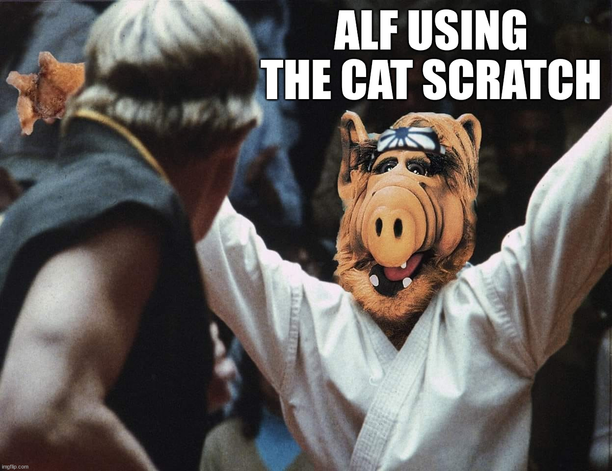 ALF USING THE CAT SCRATCH | image tagged in alf,karate kid | made w/ Imgflip meme maker