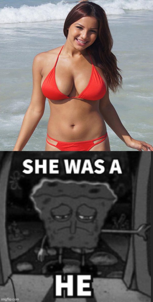 She was a he | image tagged in she was a he | made w/ Imgflip meme maker