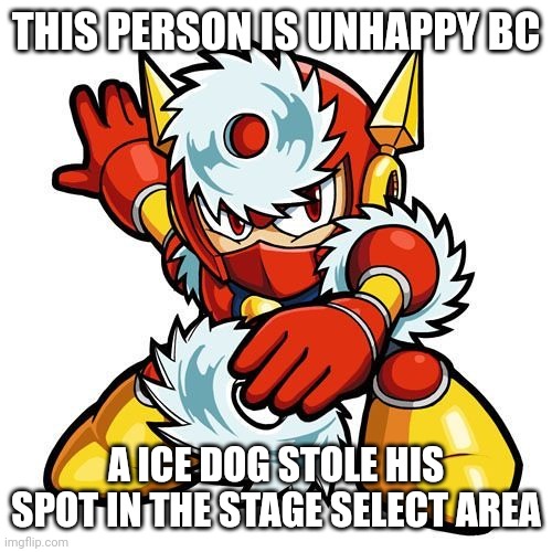 THIS PERSON IS UNHAPPY BC A ICE DOG STOLE HIS SPOT IN THE STAGE SELECT AREA | image tagged in metal man | made w/ Imgflip meme maker