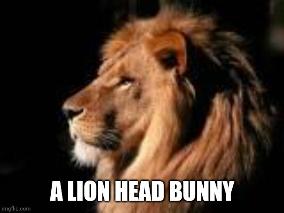 Lions head | A LION HEAD BUNNY | image tagged in lions head | made w/ Imgflip meme maker