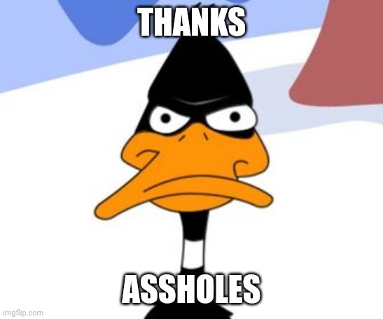 Daffy Duck not amused | THANKS ASSHOLES | image tagged in daffy duck not amused | made w/ Imgflip meme maker