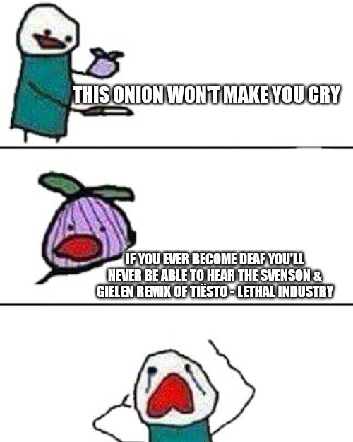 this onion won't make me cry | THIS ONION WON'T MAKE YOU CRY; IF YOU EVER BECOME DEAF YOU'LL NEVER BE ABLE TO HEAR THE SVENSON & GIELEN REMIX OF TIËSTO - LETHAL INDUSTRY | image tagged in this onion won't make me cry | made w/ Imgflip meme maker