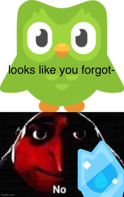 streak freeze | looks like you forgot- | image tagged in duolingo,duolingo bird | made w/ Imgflip meme maker