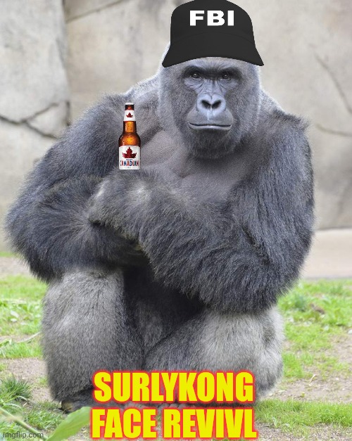 Harambe | SURLYKONG FACE REVIVL | image tagged in harambe | made w/ Imgflip meme maker