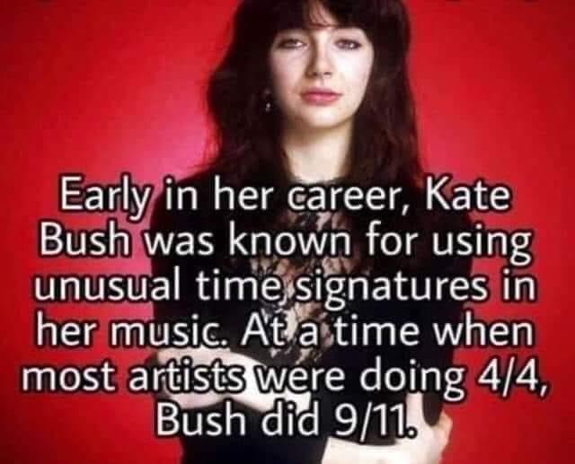 High Quality Kate Bush did 9/11 Blank Meme Template