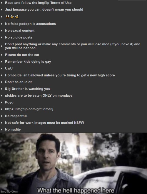 image tagged in what the hell happened here | made w/ Imgflip meme maker