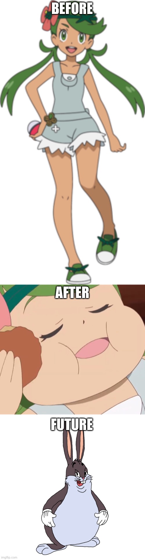 Mallow Fatness Evolution | BEFORE; AFTER; FUTURE | image tagged in fat mallow | made w/ Imgflip meme maker