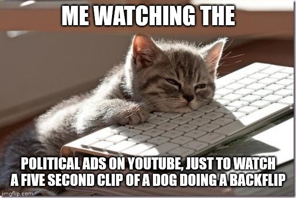 I absolutely H A T E them | ME WATCHING THE; POLITICAL ADS ON YOUTUBE, JUST TO WATCH A FIVE SECOND CLIP OF A DOG DOING A BACKFLIP | image tagged in bored keyboard cat | made w/ Imgflip meme maker