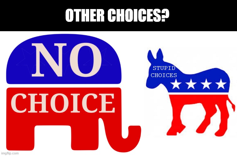 Really? Is It Any Better Either Way? | OTHER CHOICES? STUPID CHOICES | image tagged in democrat donkey | made w/ Imgflip meme maker