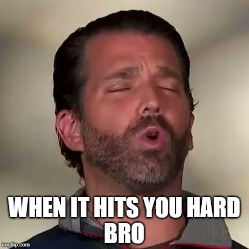Donald Trump Jr., Don Jr., Cocaine | WHEN IT HITS YOU HARD
BRO | image tagged in donald trump jr don jr cocaine | made w/ Imgflip meme maker