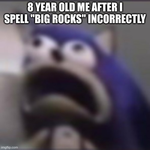distress | 8 YEAR OLD ME AFTER I SPELL "BIG ROCKS" INCORRECTLY | image tagged in distress | made w/ Imgflip meme maker