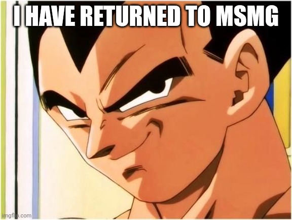 Vegeta smirk | I HAVE RETURNED TO MSMG | image tagged in vegeta smirk | made w/ Imgflip meme maker