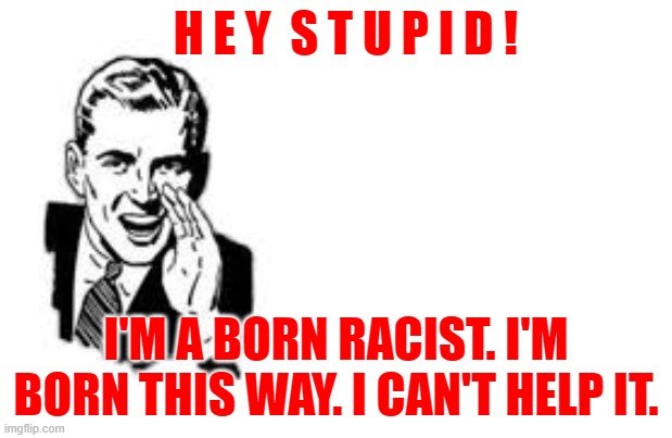 H E Y  S T U P I D ! I'M A BORN RACIST. I'M BORN THIS WAY. I CAN'T HELP IT. | image tagged in the most interesting man in the world | made w/ Imgflip meme maker