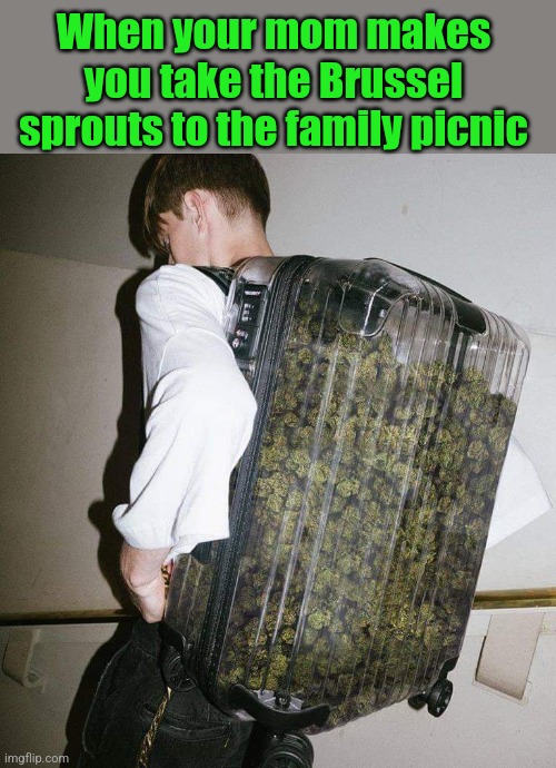 Eat your veggies | When your mom makes you take the Brussel sprouts to the family picnic | image tagged in marijuana,not,brussel sprouts,funny,pot,memes | made w/ Imgflip meme maker