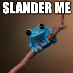 Fun Fact Frog | SLANDER ME | image tagged in fun fact frog | made w/ Imgflip meme maker