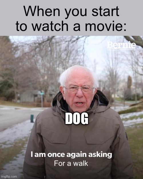 Everytime | When you start to watch a movie:; DOG; For a walk | image tagged in memes,bernie i am once again asking for your support | made w/ Imgflip meme maker