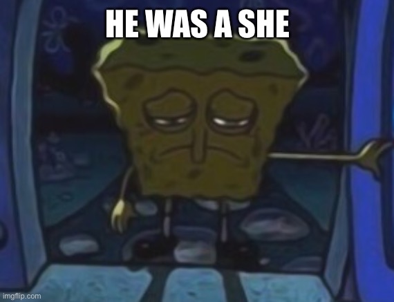 sad spongebob | HE WAS A SHE | image tagged in sad spongebob | made w/ Imgflip meme maker