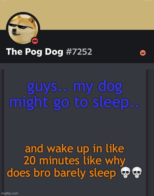 epic doggos epic discord temp | guys.. my dog might go to sleep.. and wake up in like 20 minutes like why does bro barely sleep 💀💀 | image tagged in epic doggos epic discord temp | made w/ Imgflip meme maker