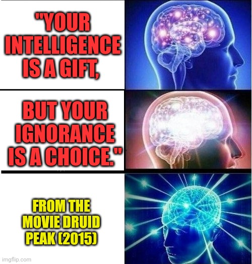 Your intelligence is a gift, but your ignorance is a choice. | "YOUR INTELLIGENCE IS A GIFT, BUT YOUR IGNORANCE IS A CHOICE."; FROM THE MOVIE DRUID PEAK (2015) | image tagged in expanding brain 3 panels | made w/ Imgflip meme maker