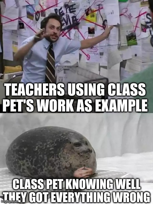"Miss that's wrong." | TEACHERS USING CLASS PET'S WORK AS EXAMPLE; CLASS PET KNOWING WELL THEY GOT EVERYTHING WRONG | image tagged in man explaining to seal | made w/ Imgflip meme maker